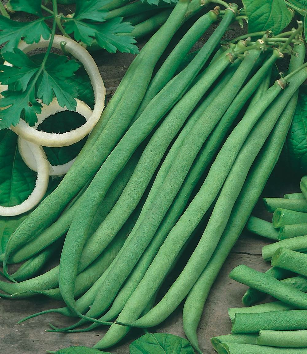 Haricot talisman - 150 g