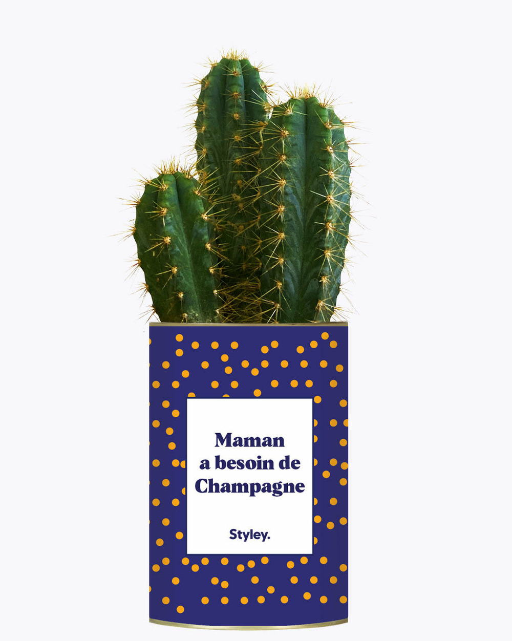 Plante personnalisée - maman a besoin de champagne - cactus