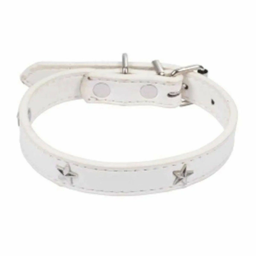 Collier fantaisie pour chien 