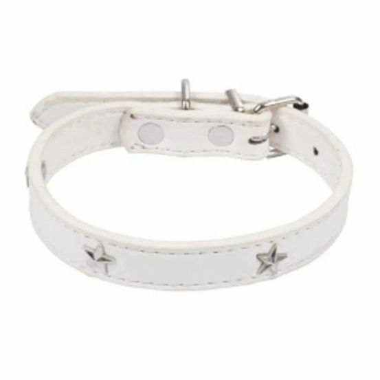 Collier fantaisie pour chien