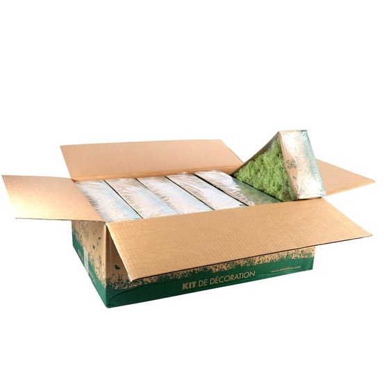 Lic/0566 lichen stabilisée menthe w-box 0,5 kg