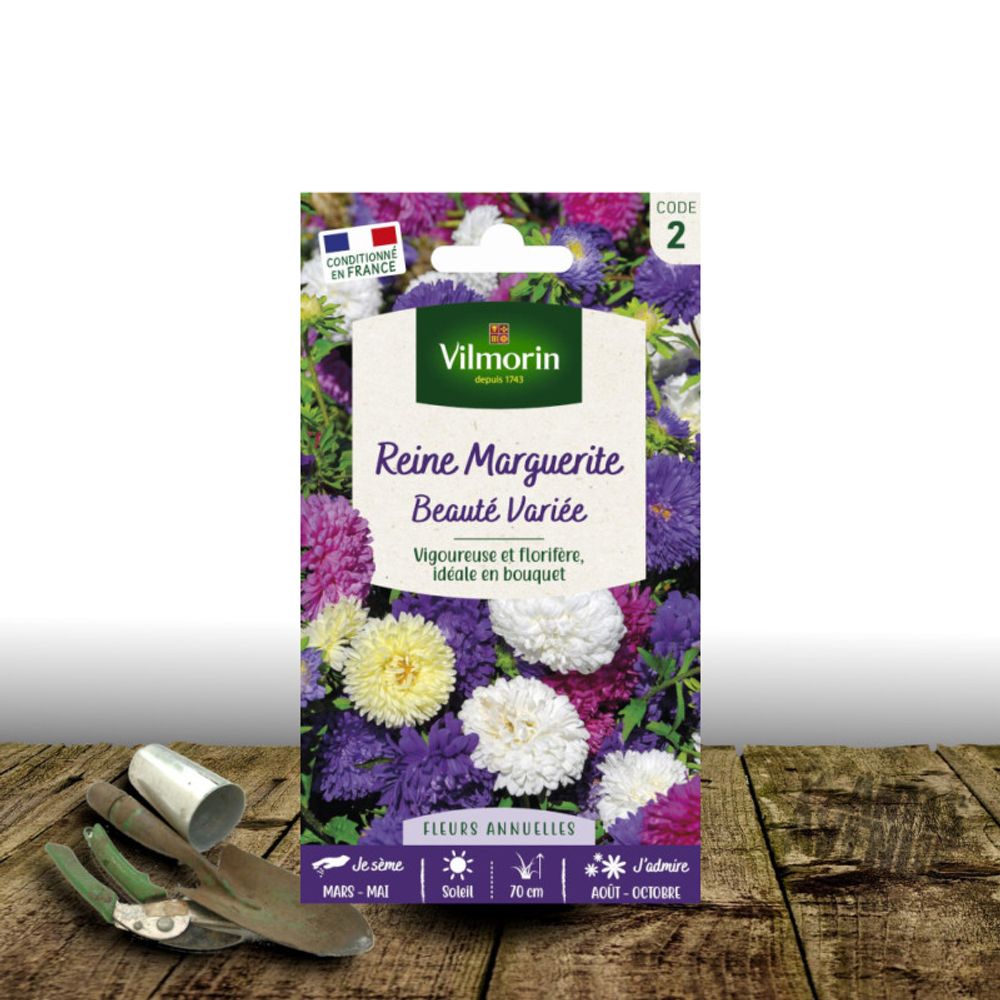 Graines de reine marguerite beauté variée - vilmorin sachet