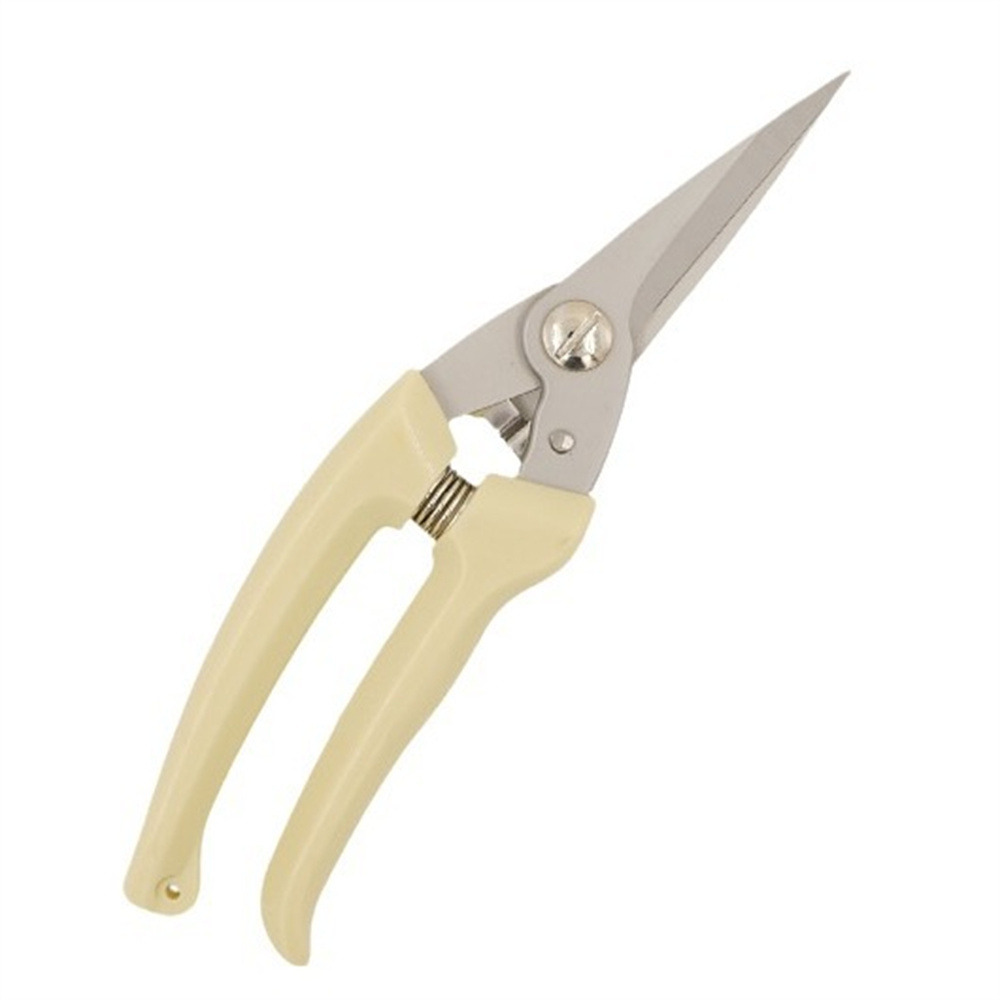 Ciseaux en acier inox sécateur droit