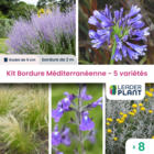 Kit bordure méditerranéenne - 5 variétés - lot de 8 plants en godet