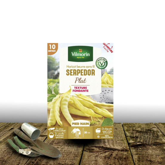 Graines de haricot nain plat serpedor - vilmorin boite - 10 mètres