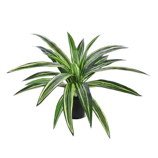 Plante artificielle draceana massangeana 40 cm verte