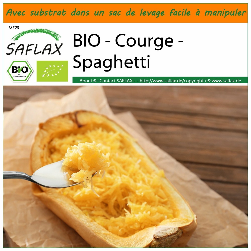 Garden in the bag - bio - courge - spaghetti - 5 graines - cucurbita pepo