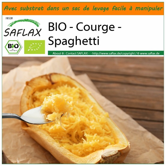 Garden in the bag - bio - courge - spaghetti - 5 graines - cucurbita pepo