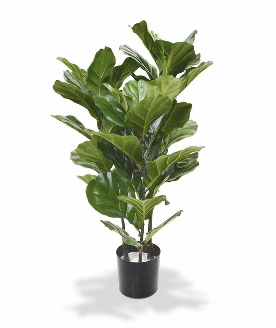 Lyrata plante artificielle de 95 cm