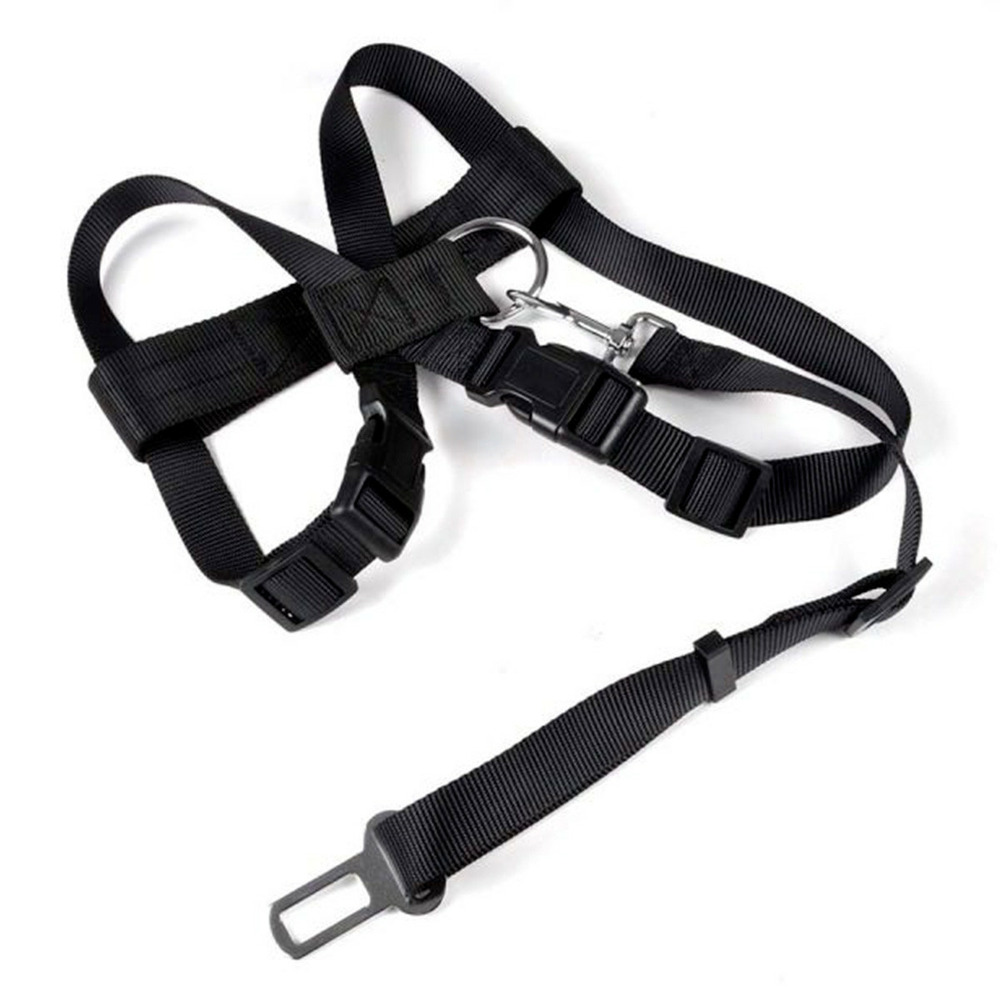 Harnais de sécurité pour animaux 