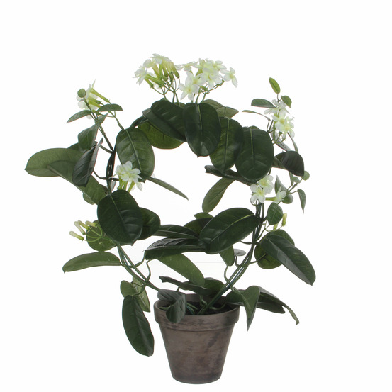 Mica decorations plante artificielle stephanotis en pot ciment - h50 x ø40 cm - blanc