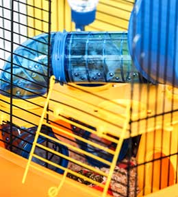 Choisir une cage pour mon lapin