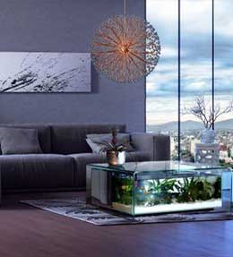 Comment décorer son aquarium