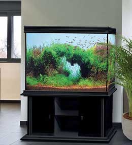 les distributeurs de nourriture pour aquariums