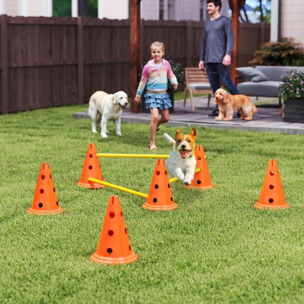 Kit agility chien plastique abs entraînement canin haies de saut réglables orange 80x30cm - comfortxl outdoor living