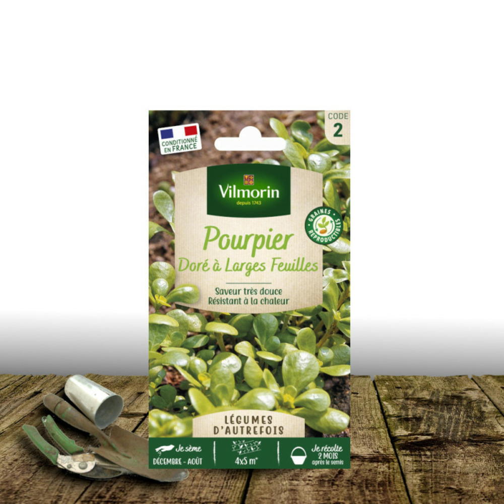 Graines de pourpier doré à large feuille - vilmorin sachet