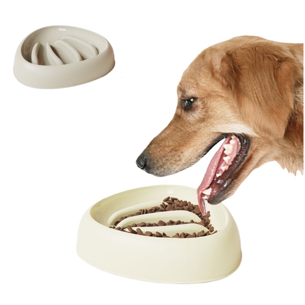 Gamelles slow food santé pour chien marron 2 pièces utiles