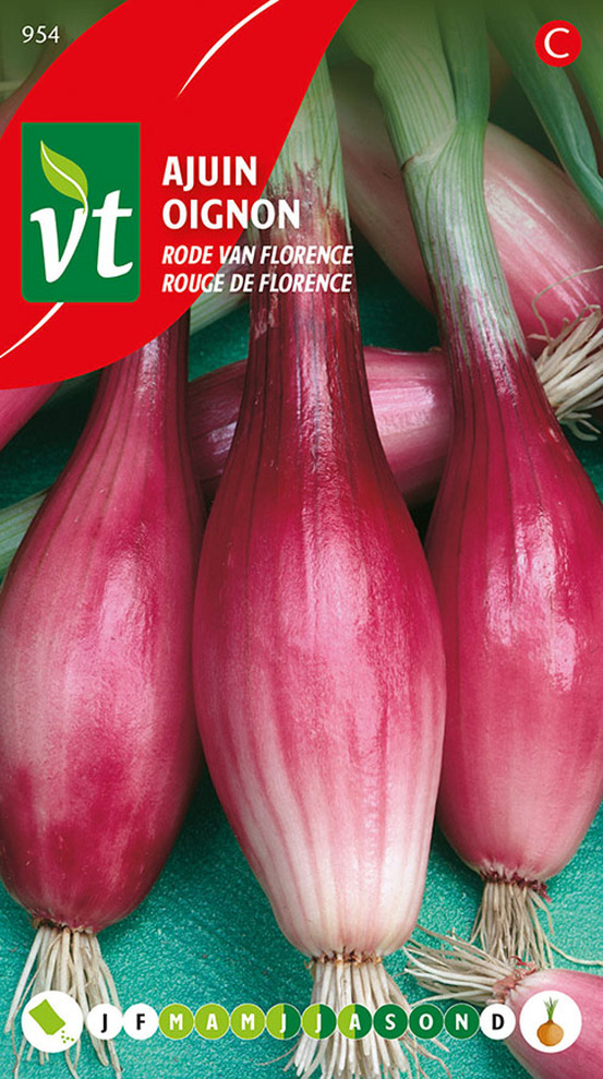 Oignon rouge de florence - ca. 4 gr (livraison gratuite)