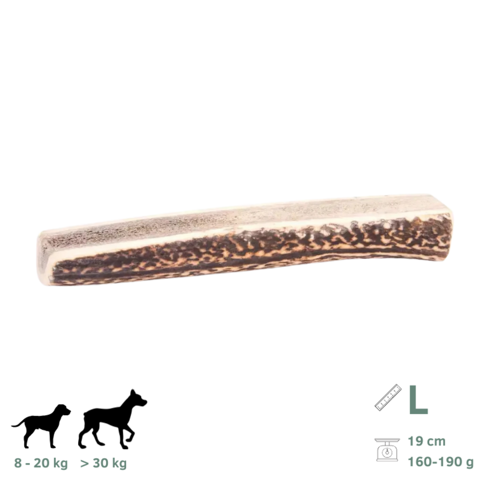 Bois de cerf tranchés pour chien l 160-190g