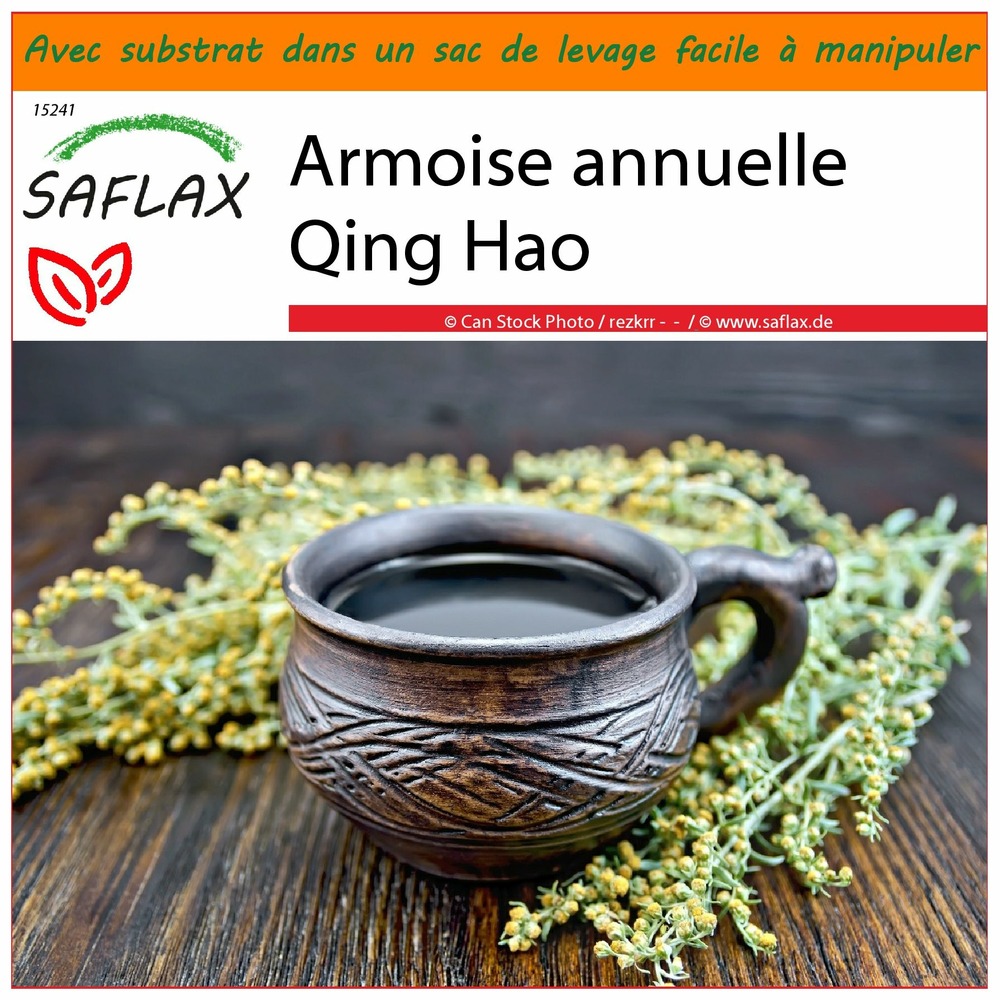 Garden in the bag - armoise annuelle qing hao - 250 graines - artemisia annua