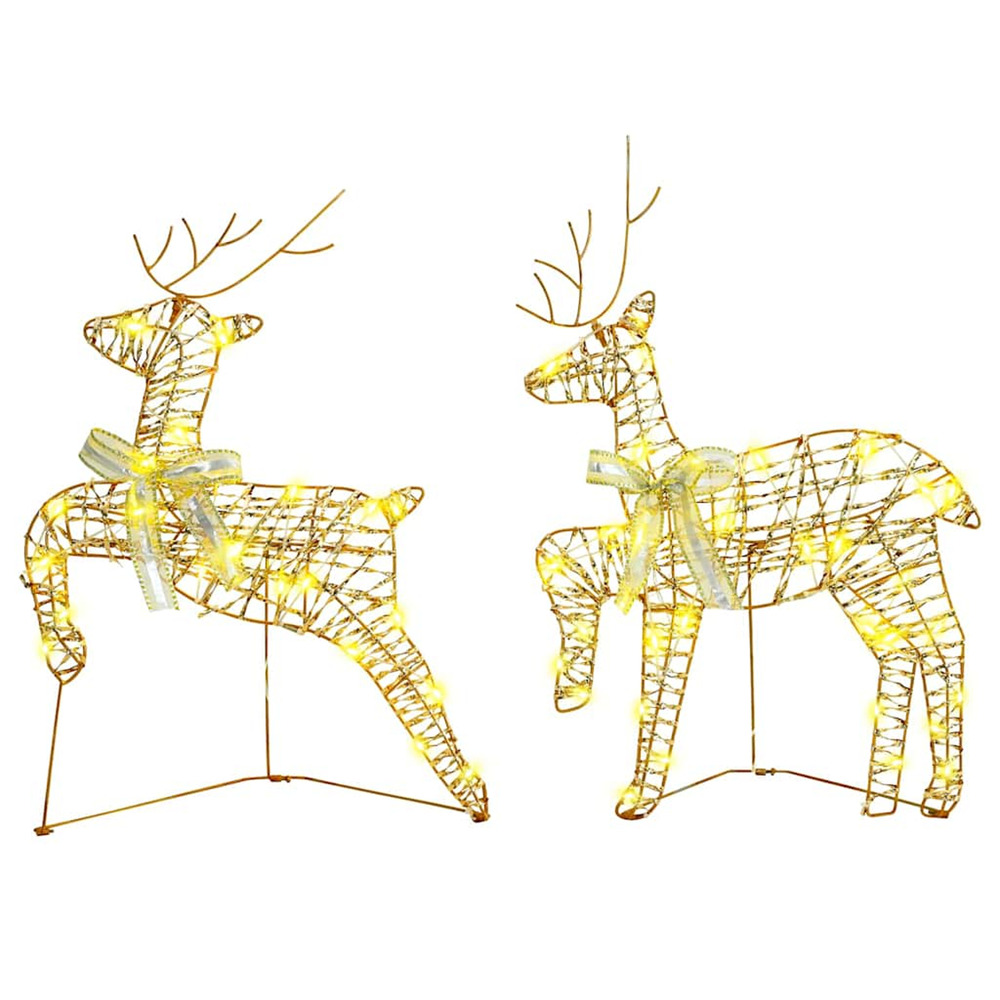 Rennes led avec 40 led 2 pcs blanc chaud pet