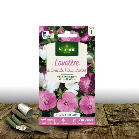Graines de lavatère à grandes fleurs - vilmorin sachet