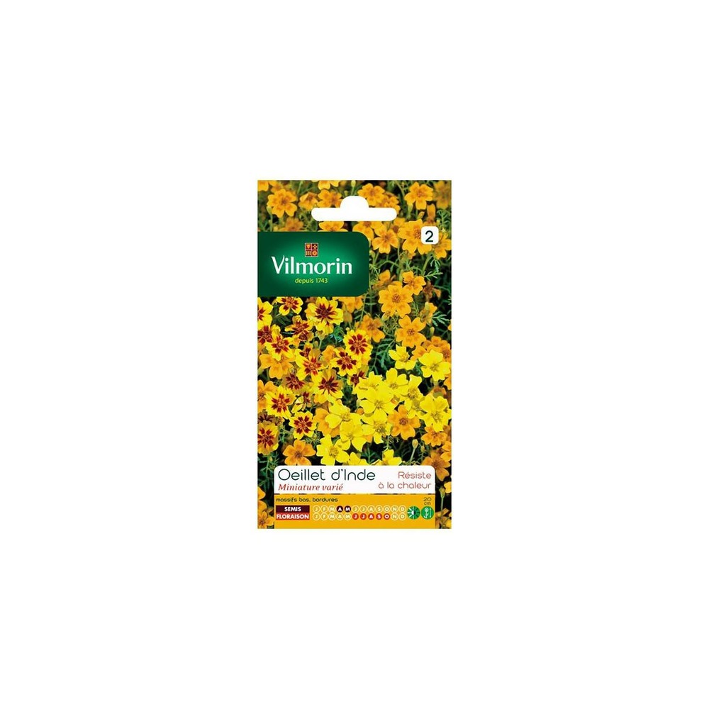 Sachet graines oeillet d'inde miniature varié ( tagetes signata)
