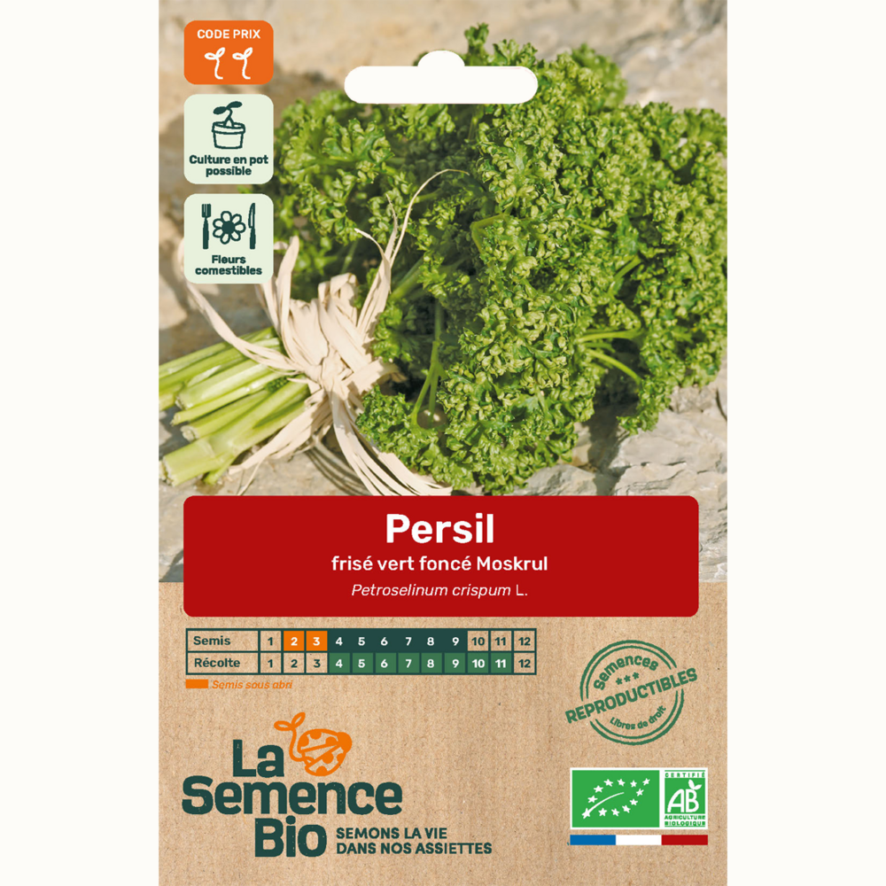 Persil frisé vert foncé moskrul 2 - graines bio
