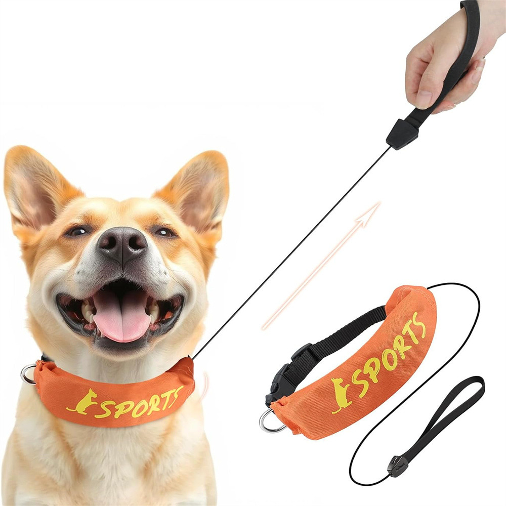 Collier et laisse intégrés - longueur de corde 100 cm - convient aux chiens de taille moyenne et grande