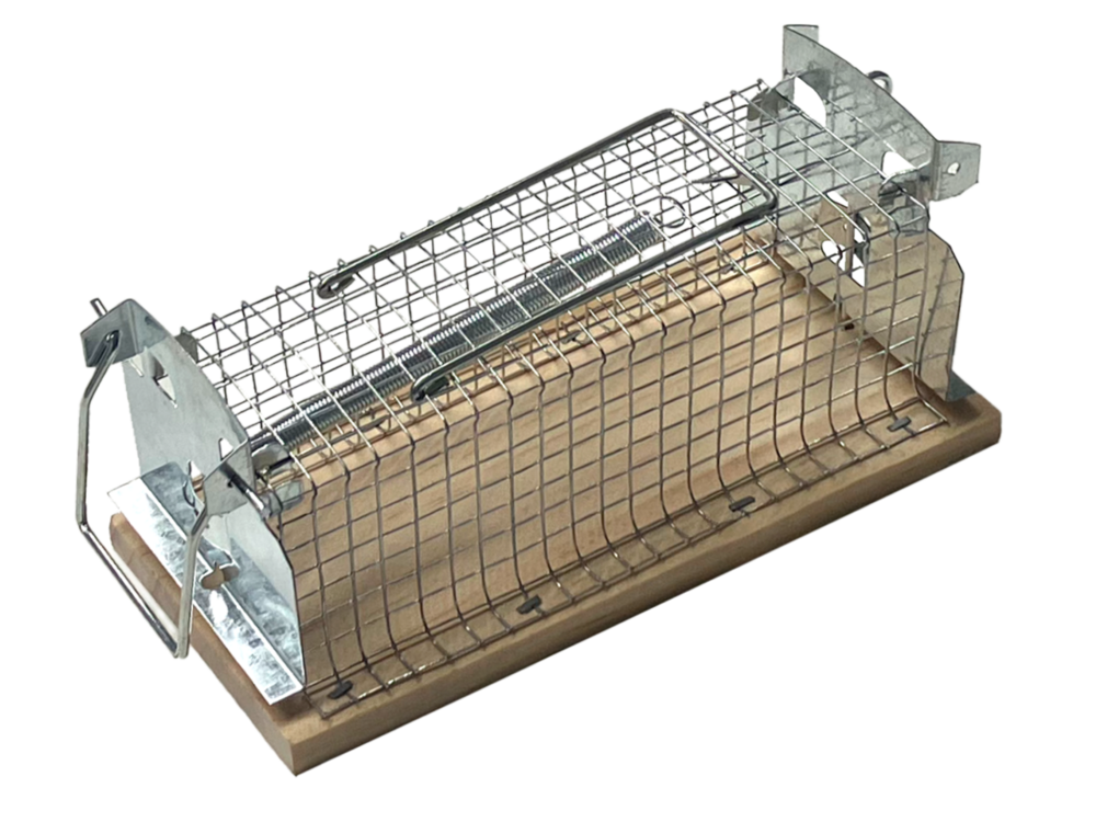 Nasse a souris - socle en bois fsc - grillage résistant - réutilisable - intérieur & extérieur - sans danger casnassfsc