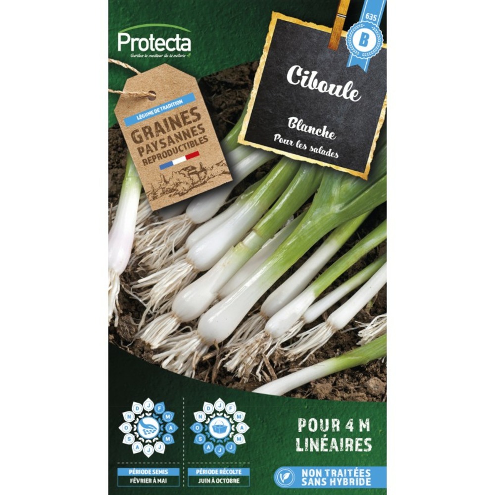 Graines paysannes - ciboule blanche