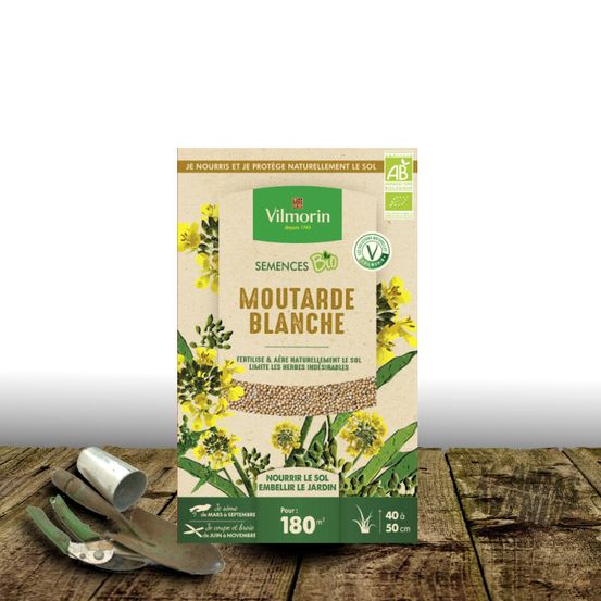 Graines de moutarde blanche - sans traitement - vilmorin sachet économique