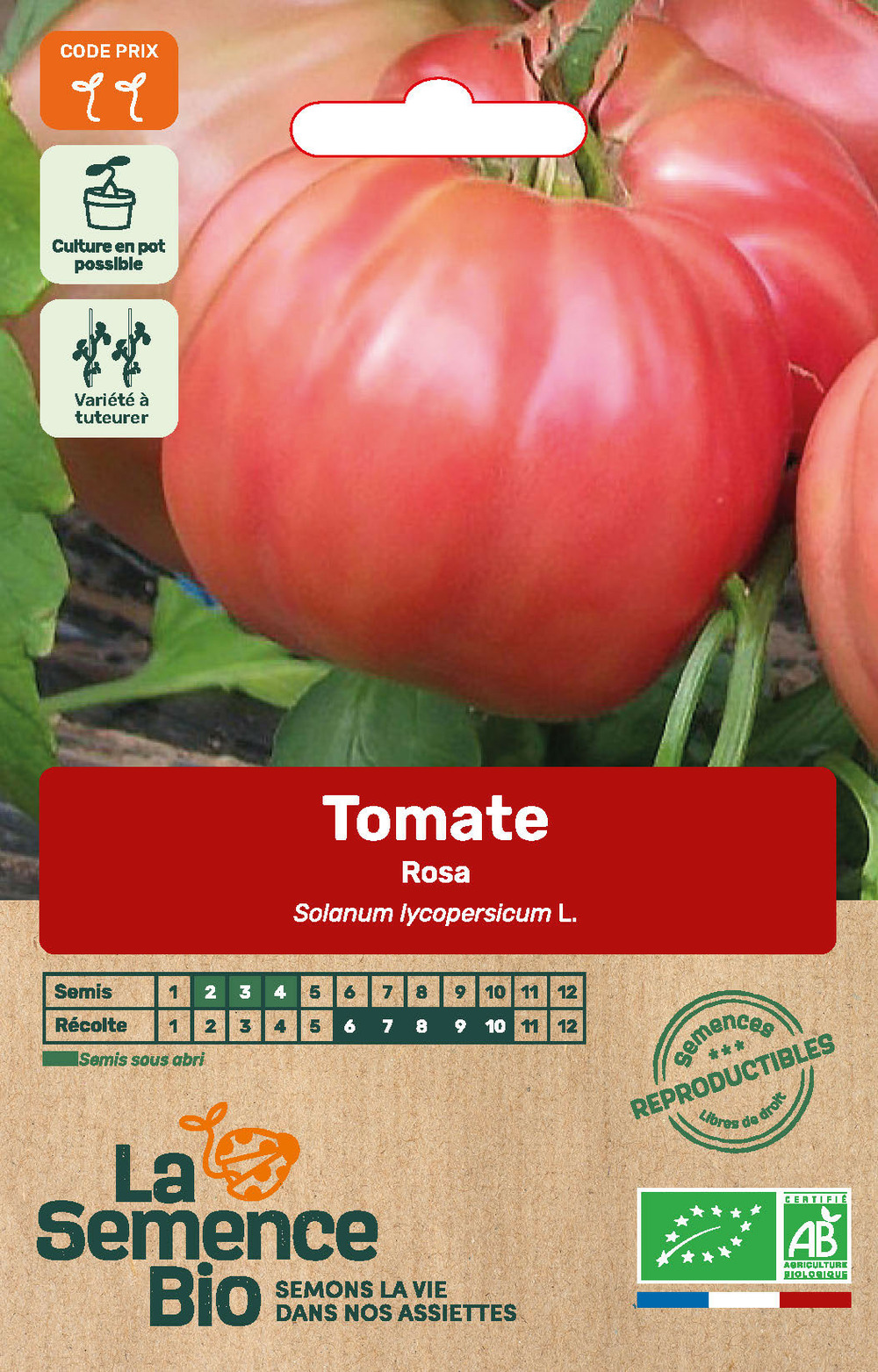 Tomate rosa - graines bio