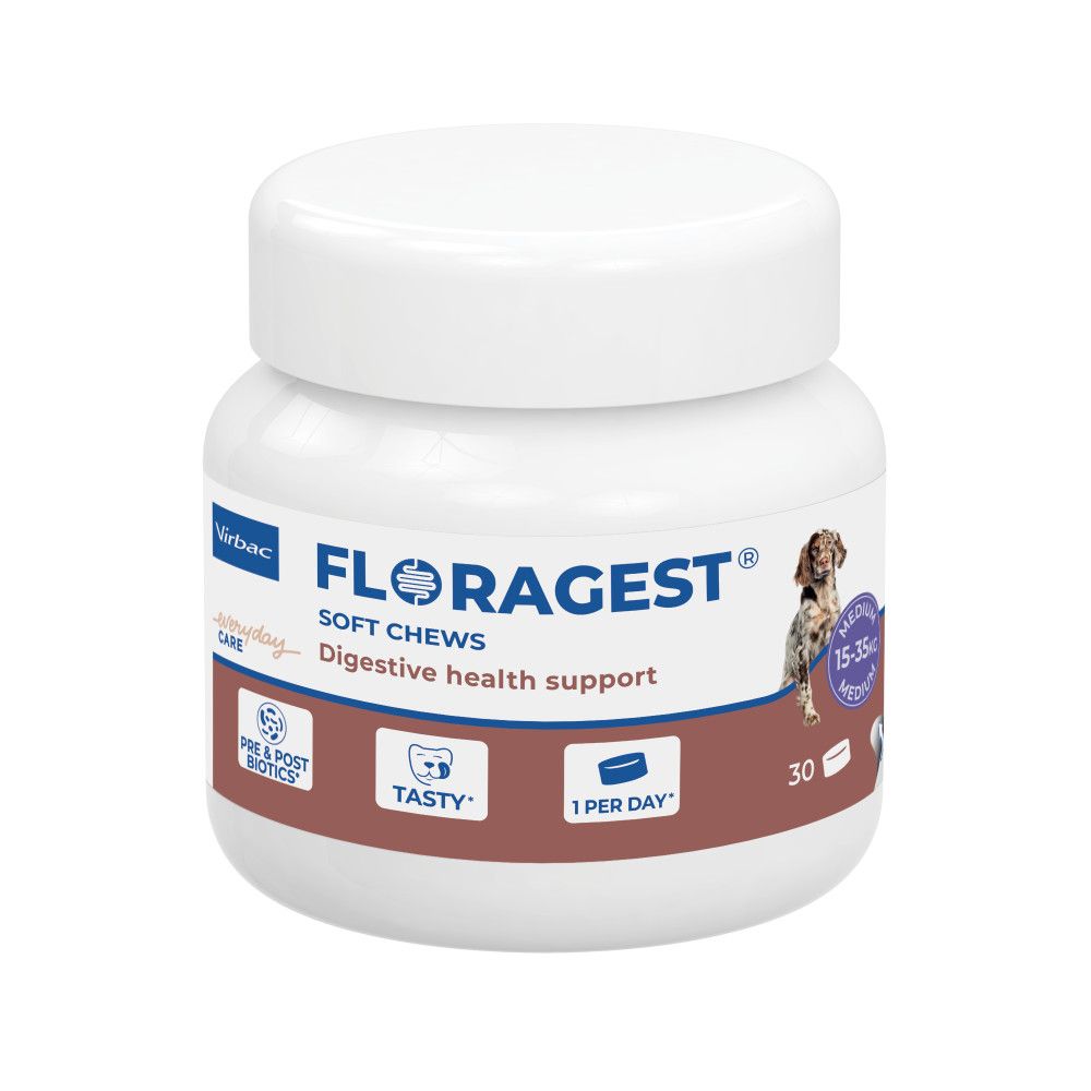 Floragest virbac - complément digestif pour chien s, m et l m