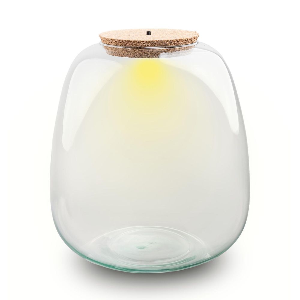 Terrarium bouteille 'emma' 25x23 cm - h25 cm - ø25 cm
