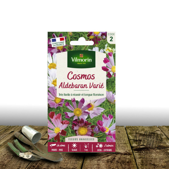 Graines de cosmos aldebaran - vilmorin sachet