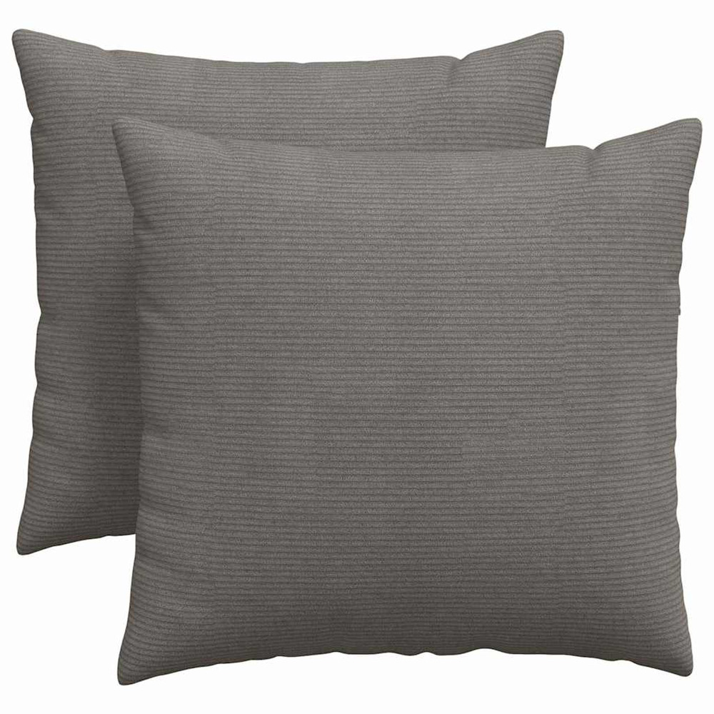 Coussins de canapé 2 pcs gris clair 45 x 45 cm