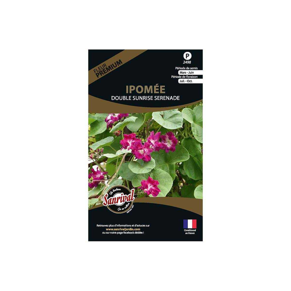 Graines de fleurs premium ipomée double sunrise serenade