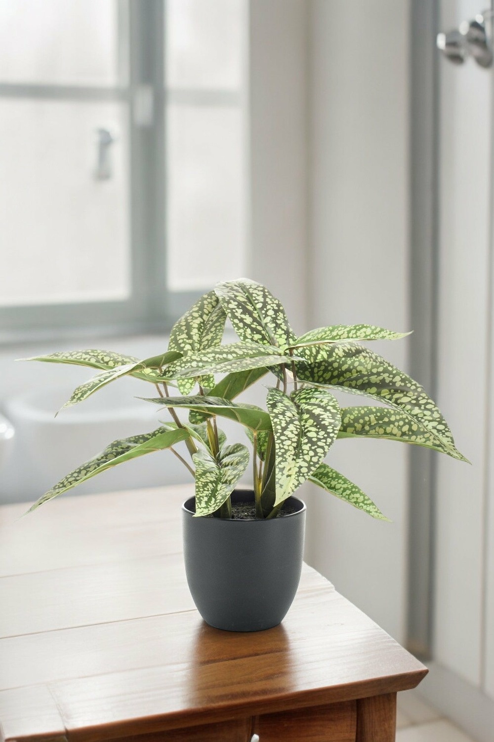 Calathea dots plante artificielle - h38cm, ø15cm
