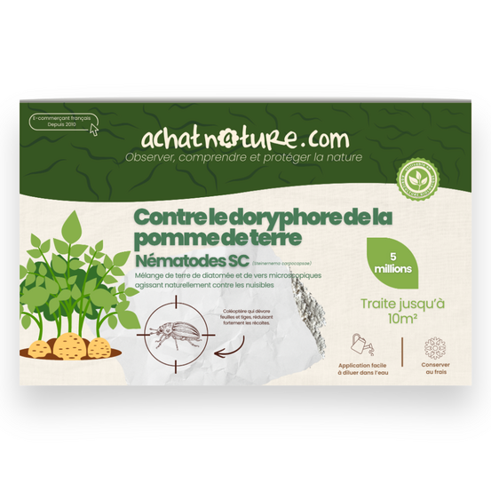 Nématodes sc contre doryphore de la pomme de terre - 5 millions - 10 m²