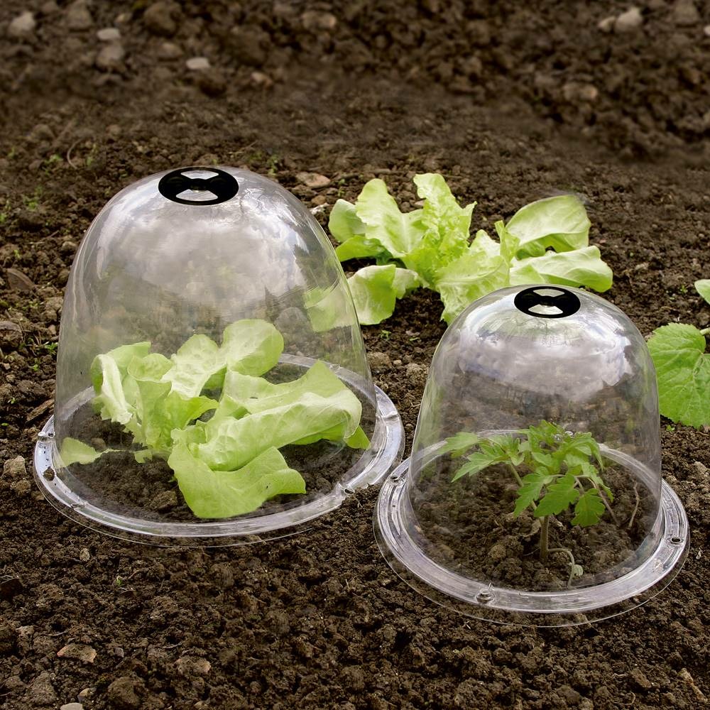 Bell cloche - 3 pieces