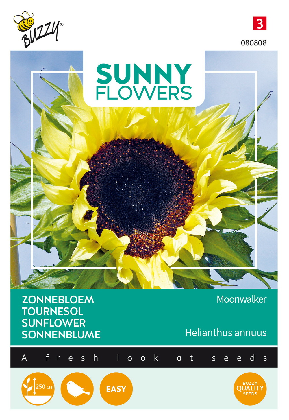 Buzzy sunny flowers, tournesol moonwalker - ca. 2.5 gr (livraison gratuite)
