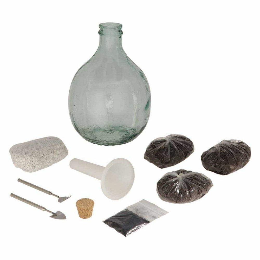 Kit terrarium végétal à faire soi-même diy 5 litres