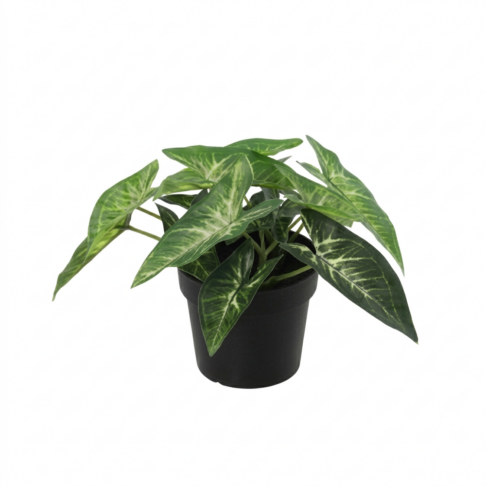 Syngonium plante artificielle - h14.5 cm - ø9 cm