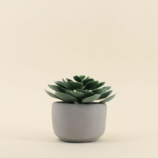 Plante artificielle pot en ciment 12cm