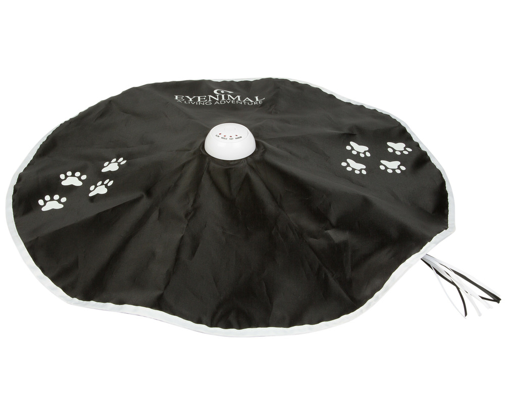 Jouet interactif chasse-moi pour chat chase me • jouet chat