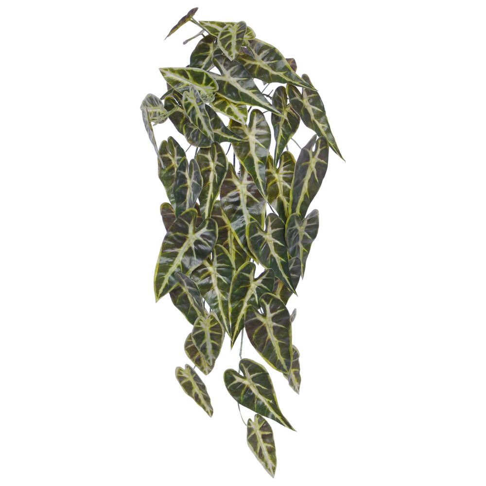 Alocasia suspension d'art frydek 60cm