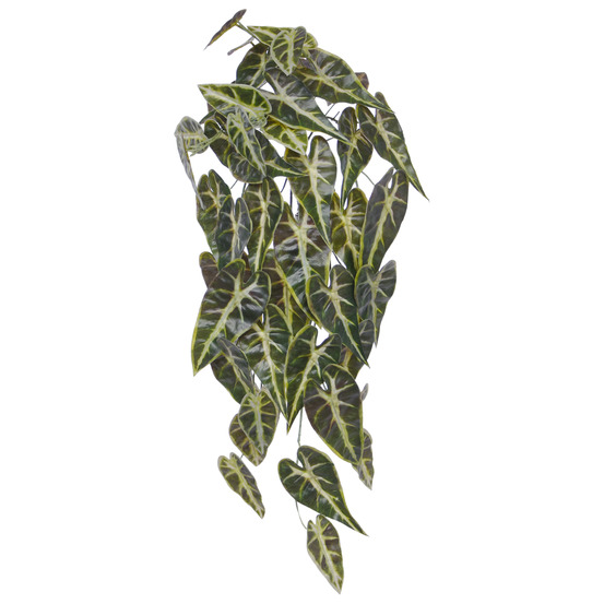 Alocasia suspension d'art frydek 60cm