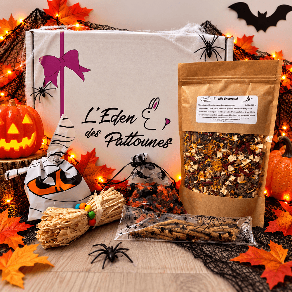 Box mensuelle pour lapins