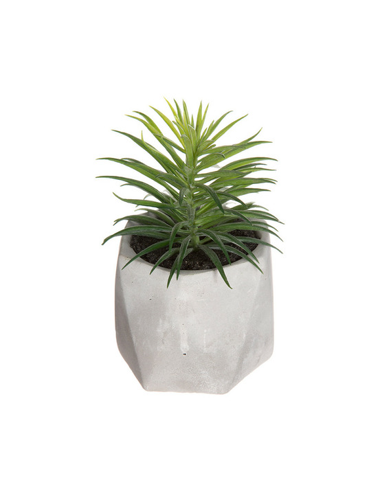 Plante décorative avec pot 7x14cm assortiements de modèles